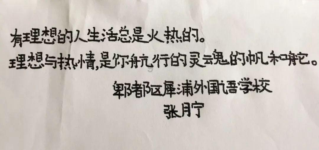 救援小袋熊